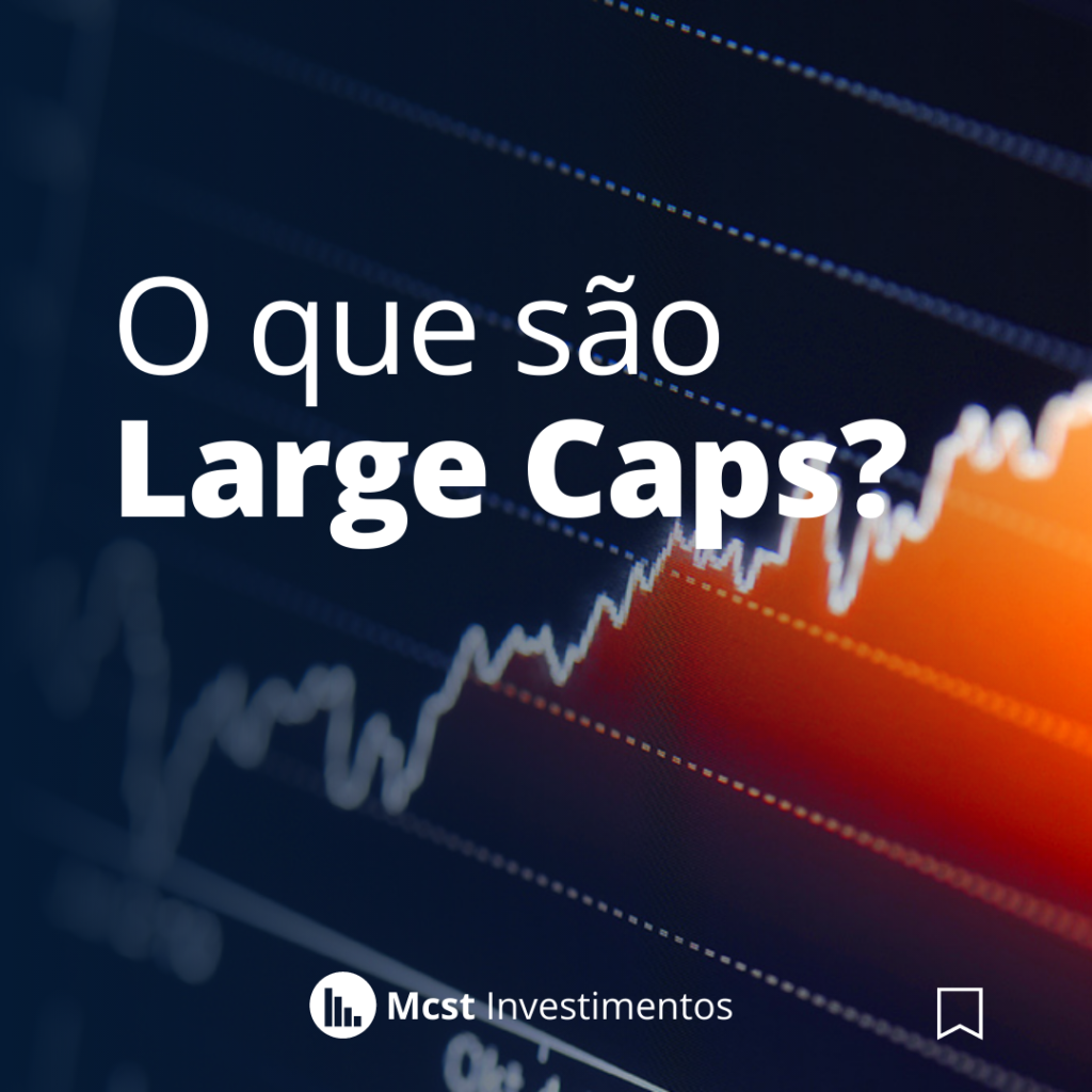 o que são large caps